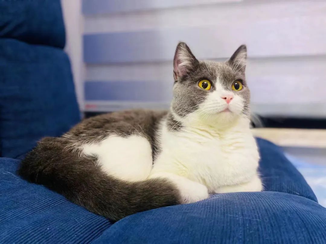 琦琦：岁月静好，有钱有闲，源于数字化灵活就业带来的幸福感和成就感