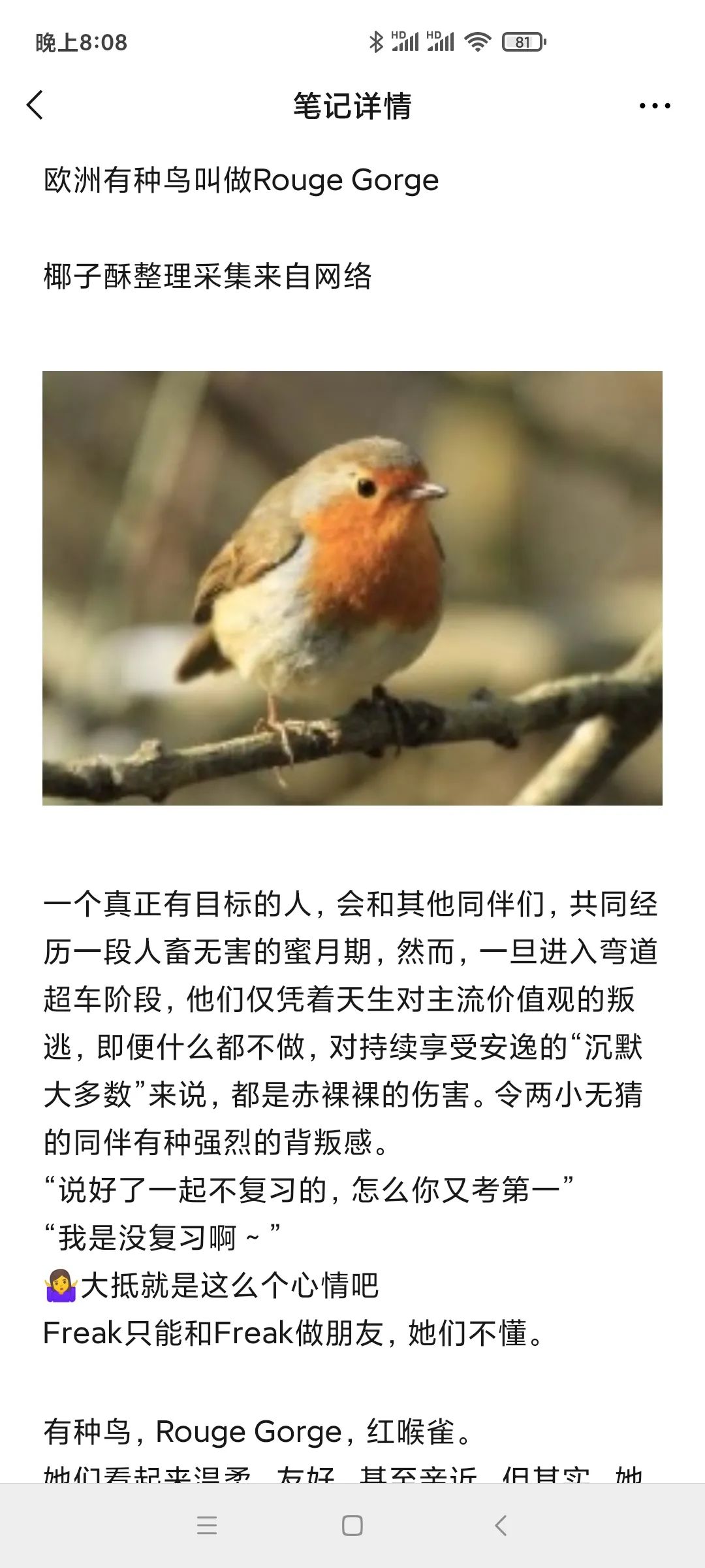 13天收入超5万,80后云南姑娘椰子酥有自己的独特见解和做法!