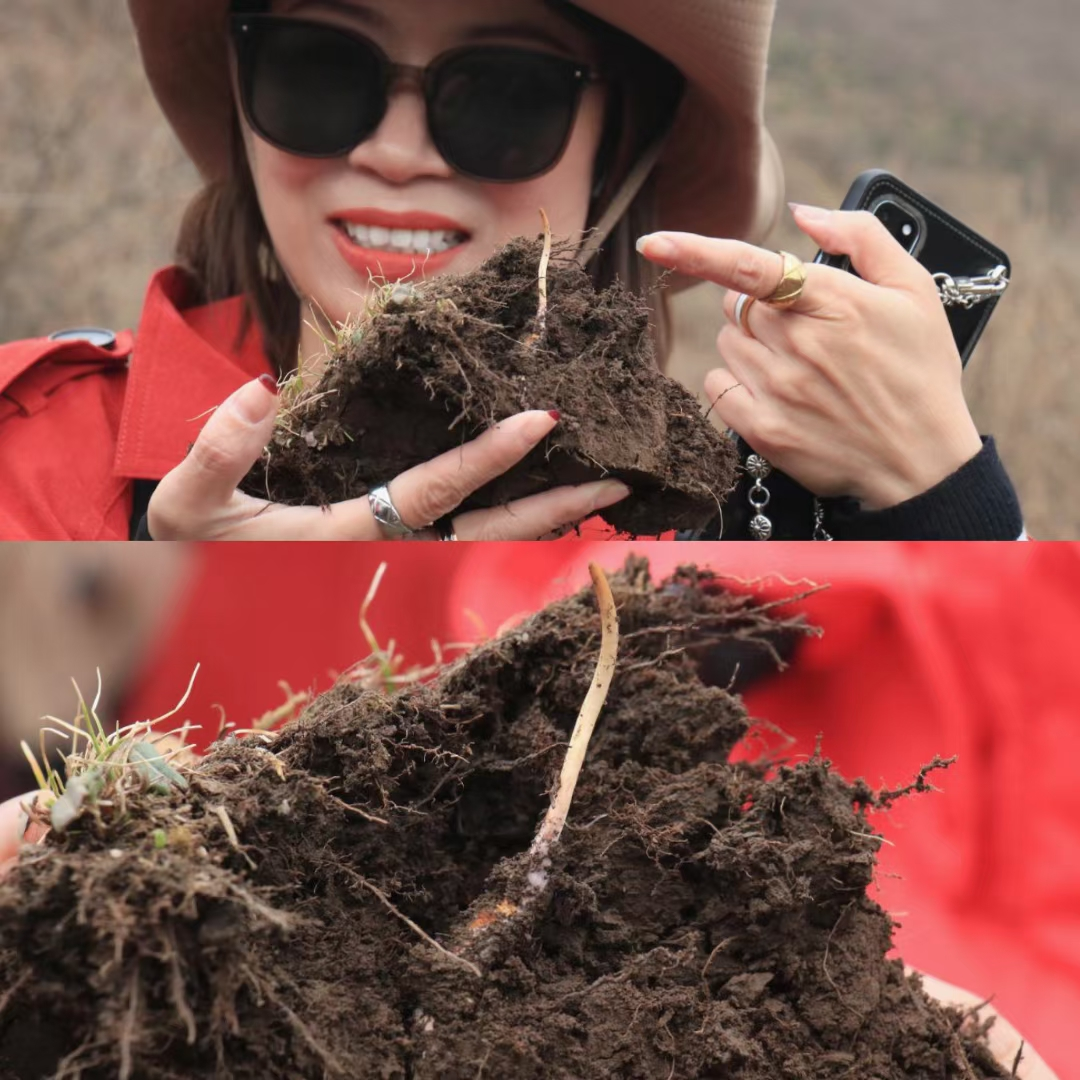 肖爷:第一趟青春,是上帝安排的;第二趟青春,是我用热爱和奋斗创造的